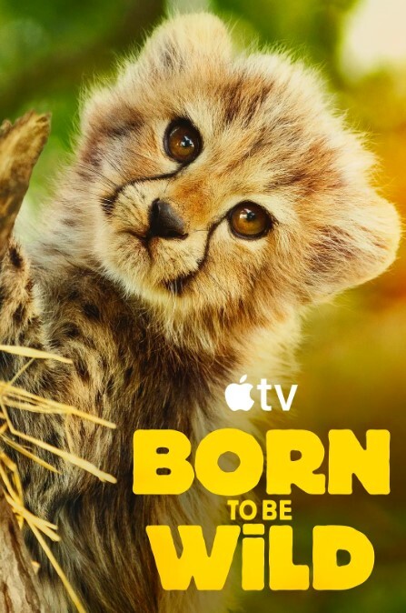 小鲜肉在寝室被双插 - 痴汉国语